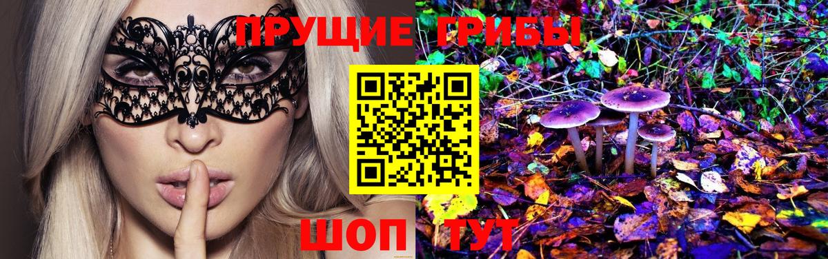 Псилоцибиновые грибы Psilocybe Димитровград