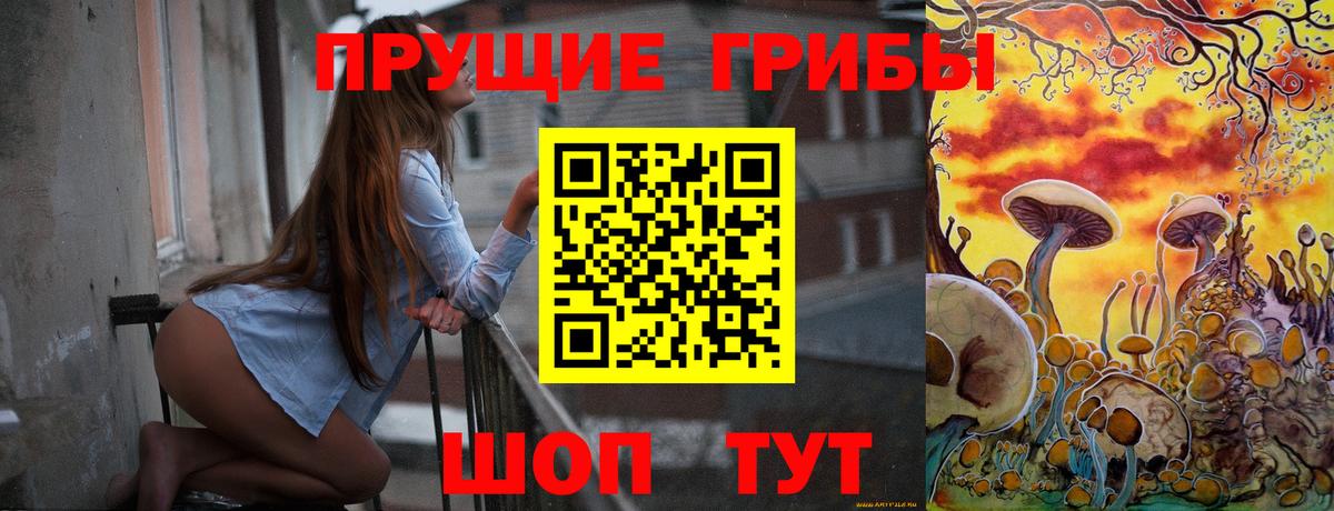 Псилоцибиновые грибы Psilocybine cubensis  Псилоцибиновые грибы Cubensis  Вход с VPN  Димитровград 