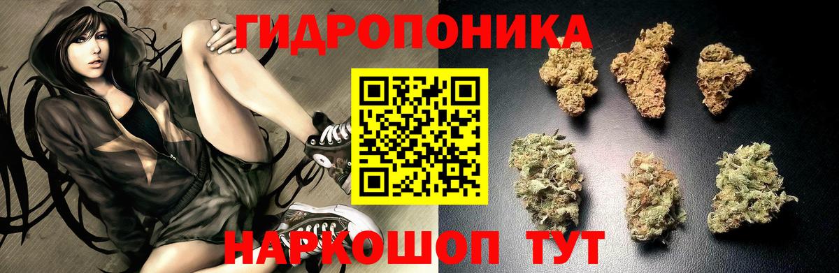 Марихуана LSD WEED  Бошки марихуана сатива  Канабис конопля  Димитровград  Марихуана планчик  Вход с VPN 